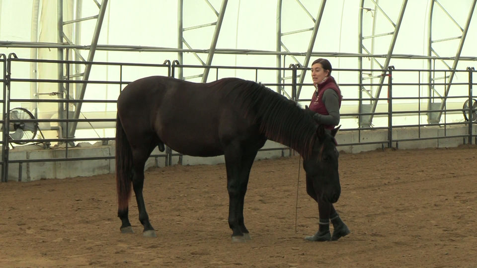 Shoulder Control and Straightness Exercise